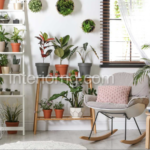 The 15 Best Indoor Plants for a Healthy and Happy Space